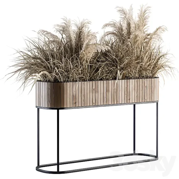3DSky - Indoor Plant Set 122 Dried Plants in Wood Stand