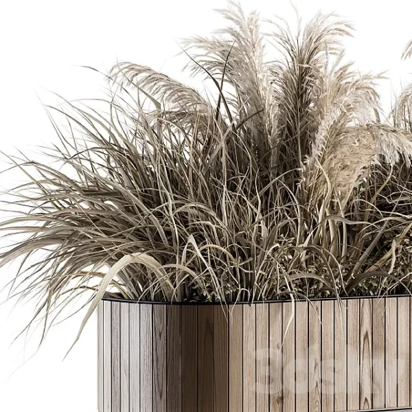 3DSky - Indoor Plant Set 122 Dried Plants in Wood Stand - Image 4