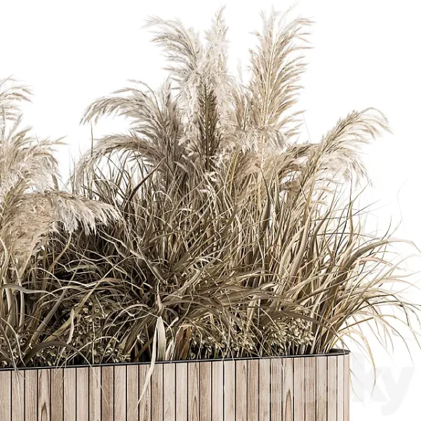 3DSky - Indoor Plant Set 122 Dried Plants in Wood Stand - Image 2