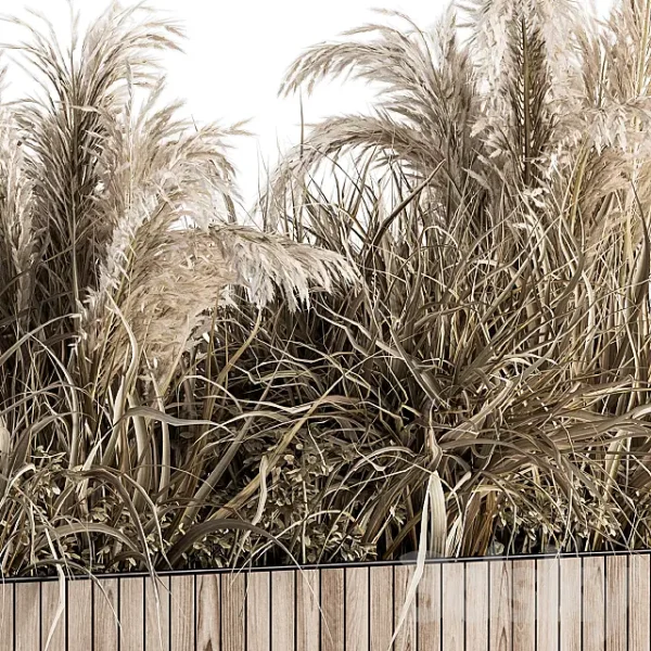 3DSky - Indoor Plant Set 122 Dried Plants in Wood Stand - Image 3