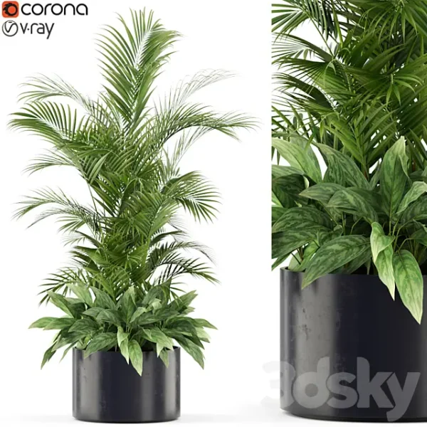 3DSky - Plants Collection 459