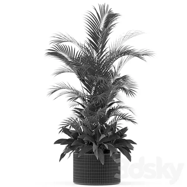 3DSky - Plants Collection 459 - Image 2