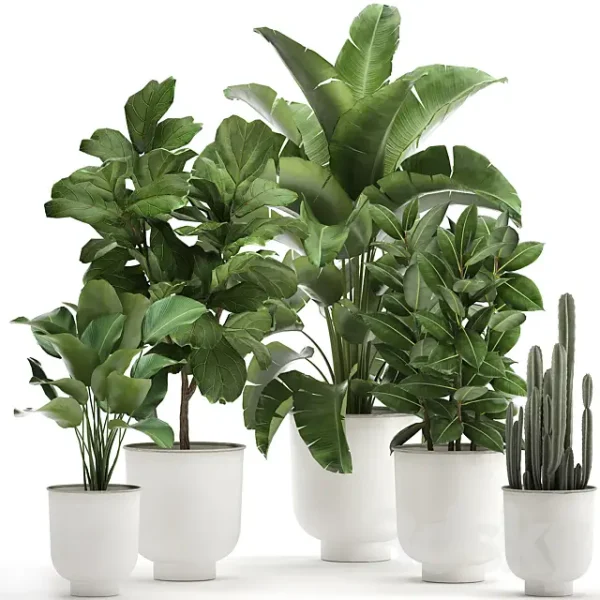 3DSky - Plant Collection 906
