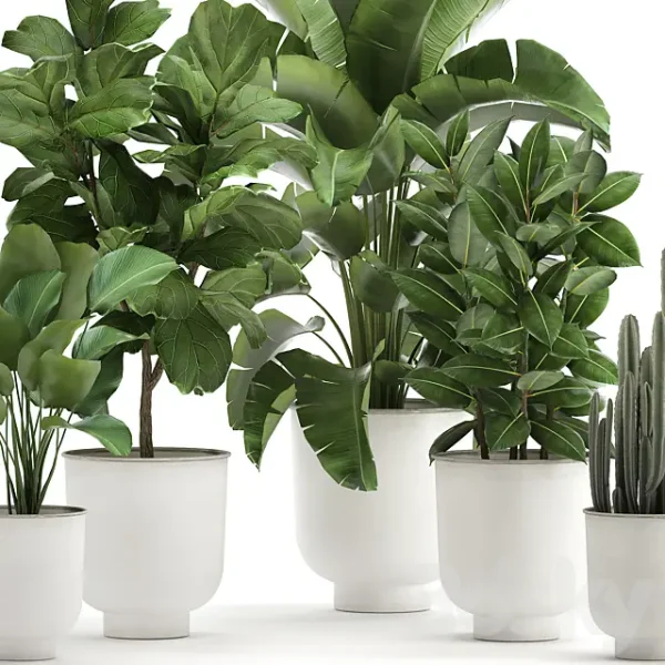 3DSky - Plant Collection 906 - Image 3