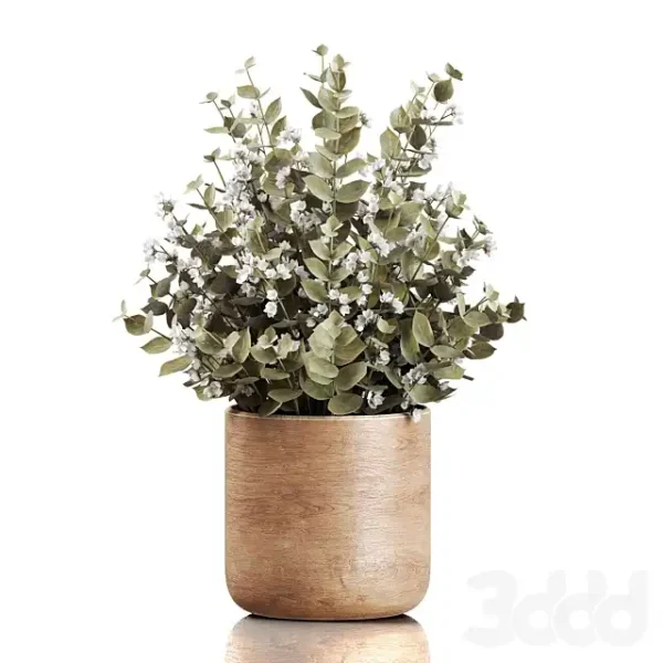 3DSky - Plants Bouquet 02