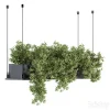 3DSky - Indoor Plant Set 217 Hanging Plant Box