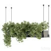 3DSky - Indoor Plant Set 217 Hanging Plant Box - Image 2