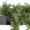 3DSky - Indoor Plant Set 217 Hanging Plant Box - Image 3
