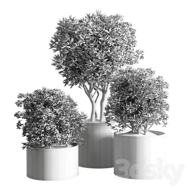 3DSky - Collection Indoor Plant 42 Wood Vase - Image 4