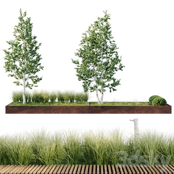 3DSky - Green Benches - Image 3