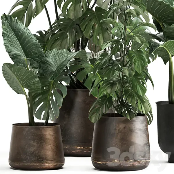 3DSky - Plant Collection 999