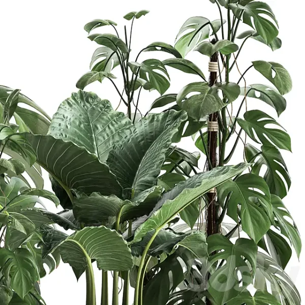 3DSky - Plant Collection 999 - Image 2