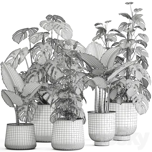 3DSky - Plant Collection 999 - Image 3