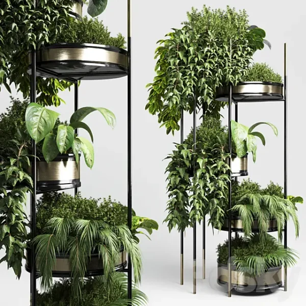 3DSky - Collection Indoor Plant Plant Stairs Stand Metal Vase 10