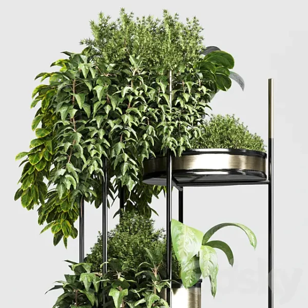 3DSky - Collection Indoor Plant Plant Stairs Stand Metal Vase 10 - Image 2