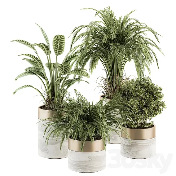3DSky - Indoor Plant Set 245 Plant Set in Pot