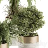 3DSky - Indoor Plant Set 245 Plant Set in Pot - Image 2