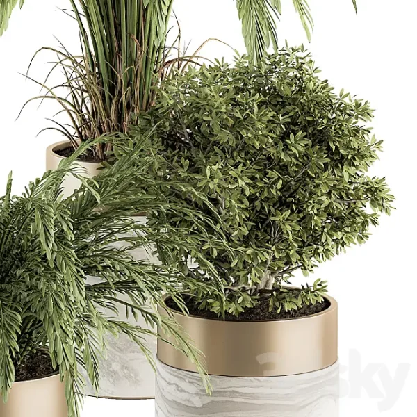 3DSky - Indoor Plant Set 245 Plant Set in Pot - Image 2