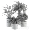 3DSky - Indoor Plant Set 245 Plant Set in Pot - Image 3