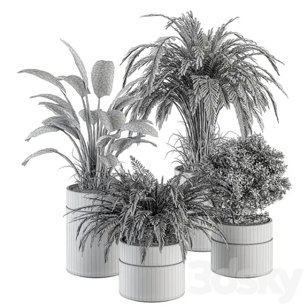 3DSky - Indoor Plant Set 245 Plant Set in Pot - Image 3