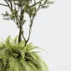 3DSky - Indoor Plant 01 ORGANIKA - Image 2
