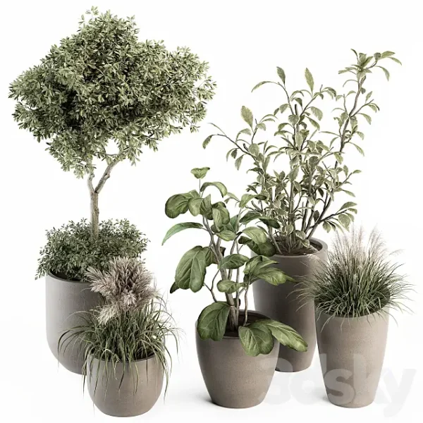 3DSky - Indoor Plant Set 264 Plant Set in Pot