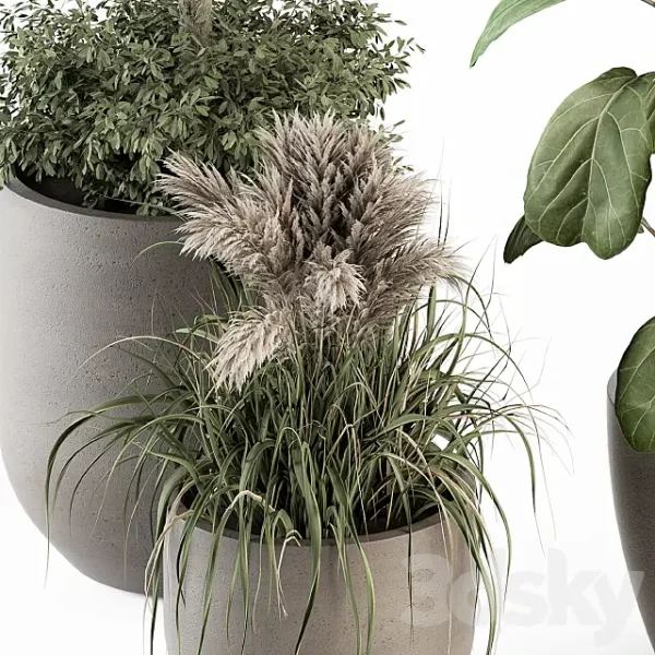 3DSky - Indoor Plant Set 264 Plant Set in Pot - Image 2