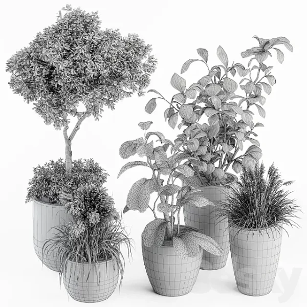 3DSky - Indoor Plant Set 264 Plant Set in Pot - Image 3