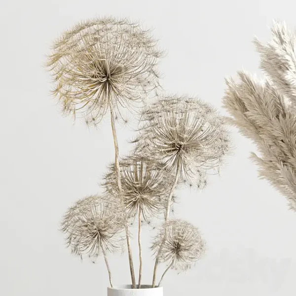 3DSky - Bouquet 13 Concrete Vse Plant Pampas - Image 3