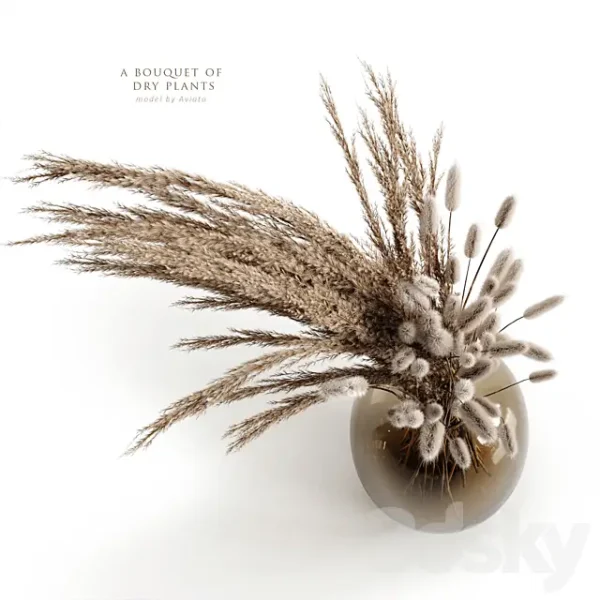 3DSky - A Bouquet of Dry Plants - Image 3