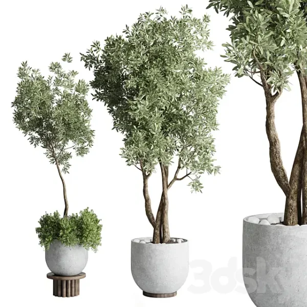 3DSky - Collection Outdoor Indoor Plant 52