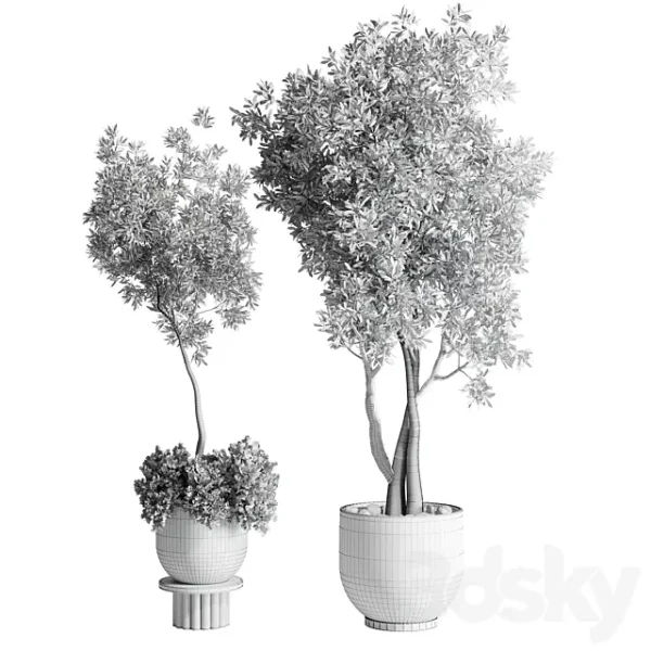 3DSky - Collection Outdoor Indoor Plant 52 - Image 4