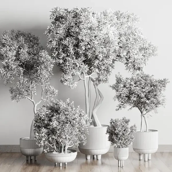 3DSky - Collection Indoor Outdoor Plant 118 - Image 4