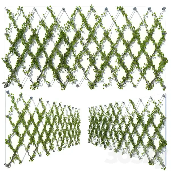 3DSky - Ivy Wall 10