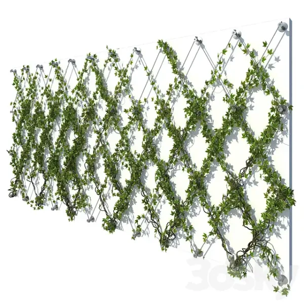 3DSky - Ivy Wall 10 - Image 2