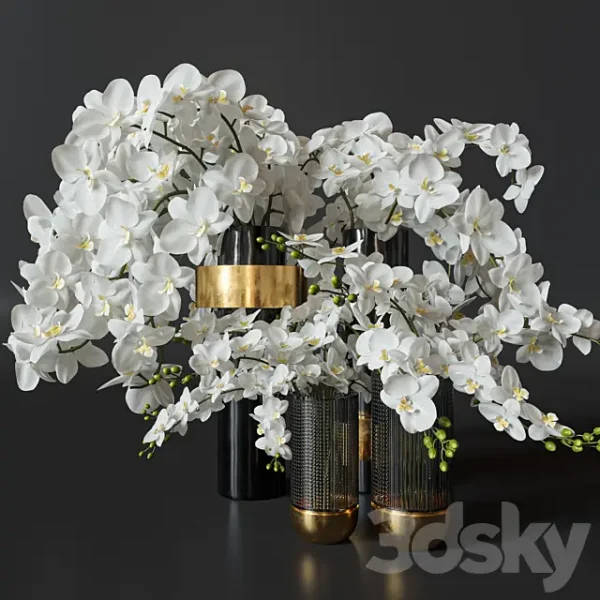 3DSky - Flower Set 009 Orchids