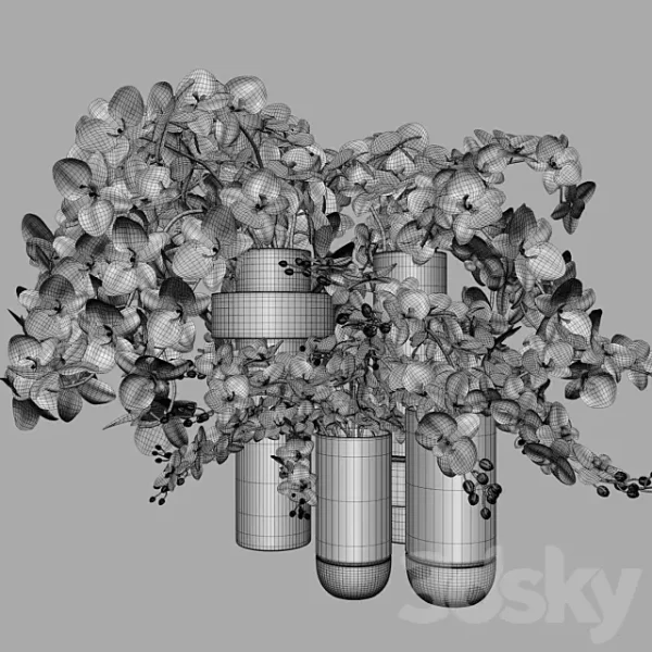 3DSky - Flower Set 009 Orchids - Image 4