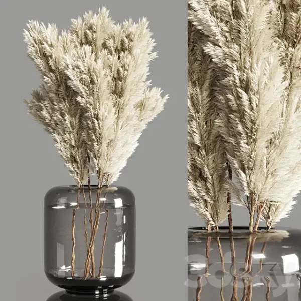 3DSky - Collection Dry Plants Bouquet Indoor 02 - Image 3