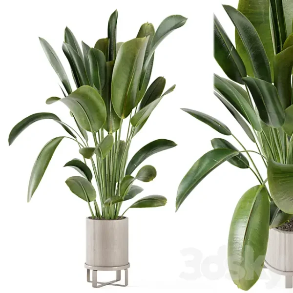 3DSky - Indoor Plants in Ferm Living Bau Pot Large Set 378