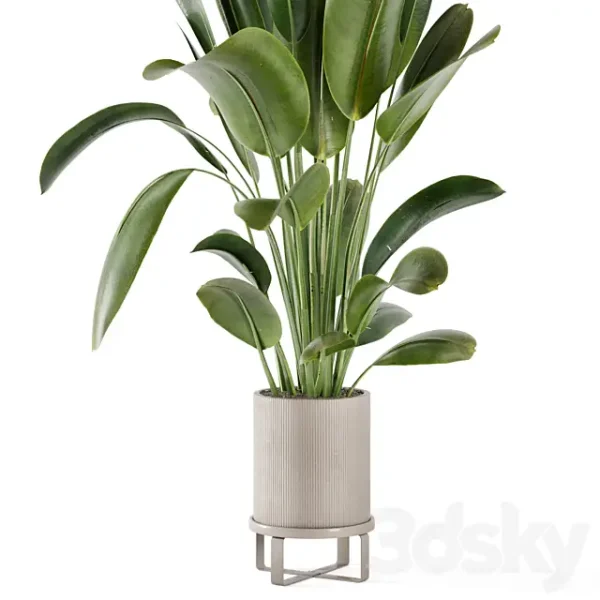 3DSky - Indoor Plants in Ferm Living Bau Pot Large Set 378 - Image 2