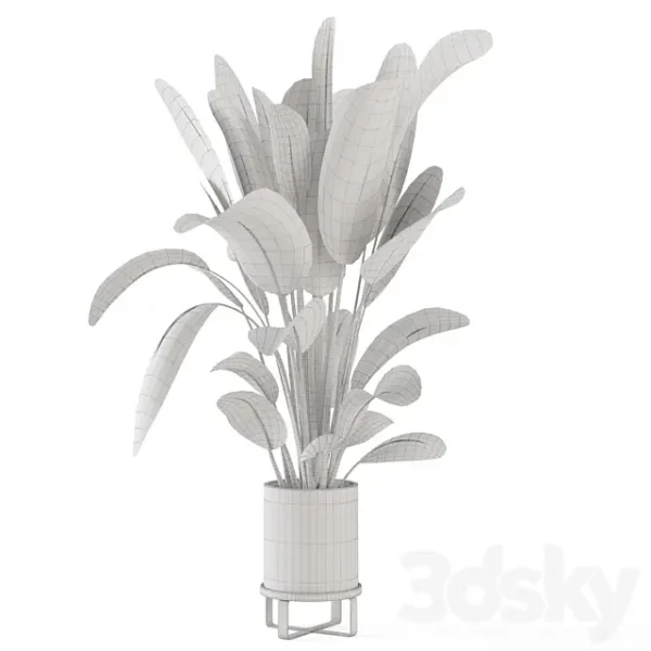 3DSky - Indoor Plants in Ferm Living Bau Pot Large Set 378 - Image 3