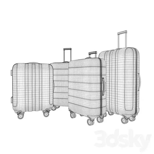 3DSky - Luggage Set - Image 3