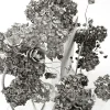 3DSky - Floral Installation - Image 4