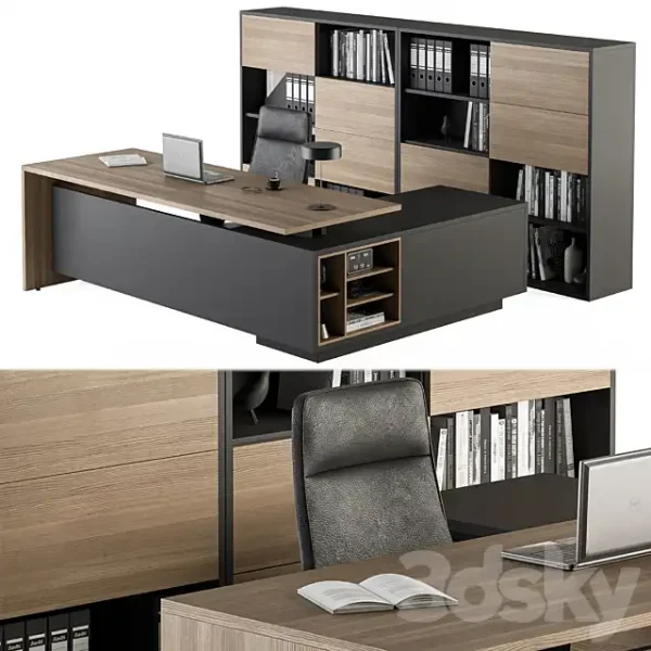 3DSky - Manager Desk and Library