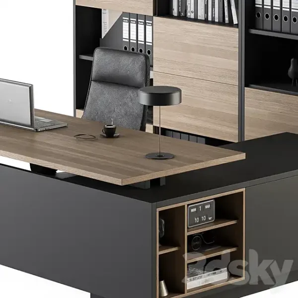 3DSky - Manager Desk and Library - Image 3