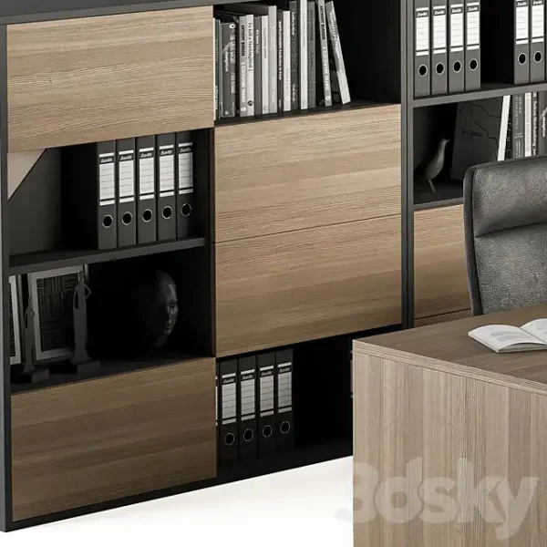 3DSky - Manager Desk and Library - Image 4