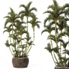 3DSky - Roystonea Decorative Palm Tree