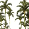 3DSky - Roystonea Decorative Palm Tree - Image 2
