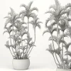 3DSky - Roystonea Decorative Palm Tree - Image 4