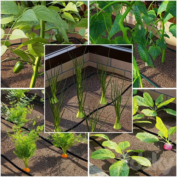 3DSky - Garden Greenhouse Kitchen Garden Vol 5 - Image 2